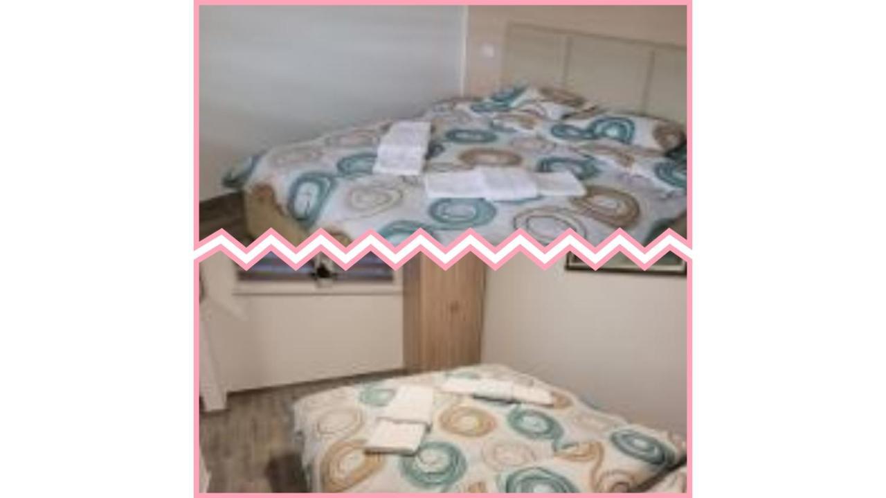 Apartmani Apolon Vrdnik Exteriér fotografie